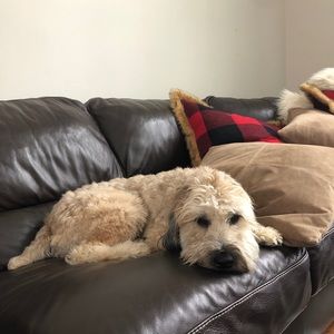 Meet your Posher, Andrew